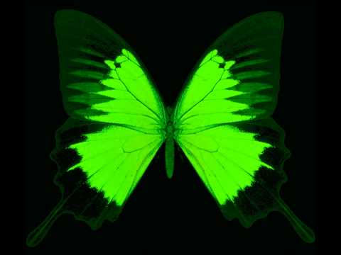 Thomas Blachman, Al Agami & Remee - The Butterfly