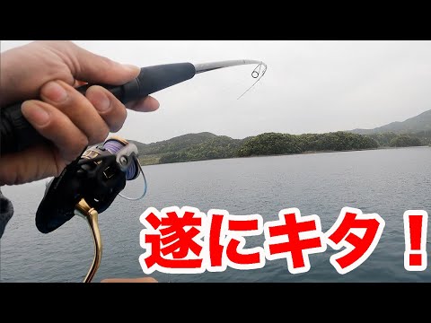 youtube-ガジェ・趣味記事2024/04/25 13:26:36