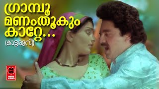 Kattaruvi