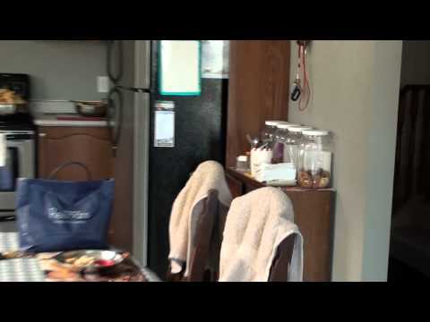 Sachita's Function 8