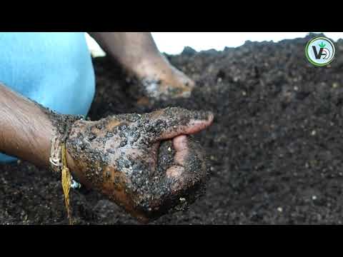 Bio fungicides bacillus subtilis, packaging type: bottle