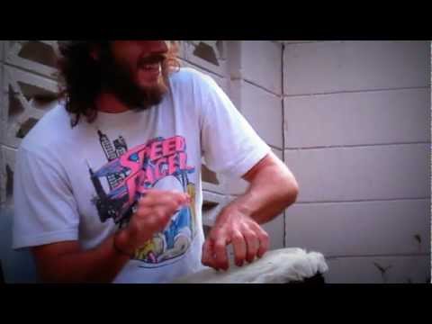 trunk rattle on Djembe