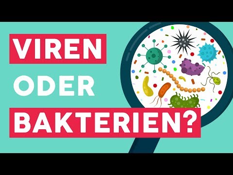 Viren und Bakterien: Die wichtigsten Unterschiede