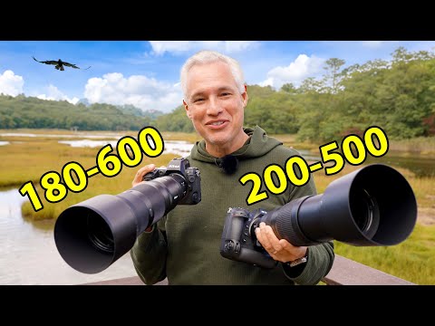 Nikon 180-600 Review: The ULTIMATE Wildlife Zoom!