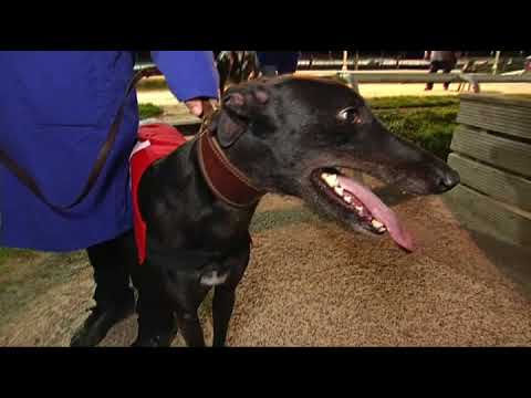 2017 WILLIAM HILL ALL ENGLAND CUP - HEAT 1 - T1 DROOPYS BUICK
