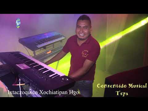 🔴 Consentido Musical De Tepa│En vivo│Ixtaczoquico Xochiatipan Hgo Full Hd 2018