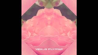 Matt Easton - Venus FlyTrap