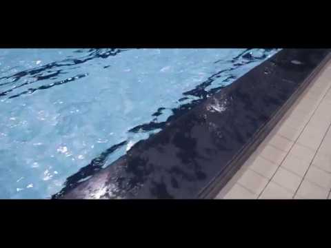 Genomineerden Sportploeg van het Jaar 2017 Leiden