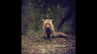 Winterpills - Love Songs - 2016