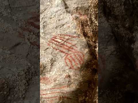Toca da Onça (Lapa da Pedra), a remarkable rock art site in Formosa, Goiás, Brazil. 🪨🎨