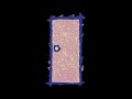 Elmo S World Door Open And Close Sound Effect Clips