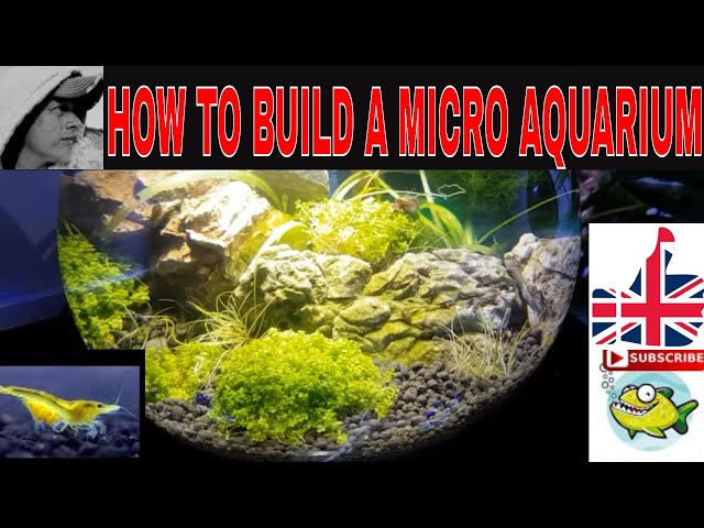 HOW TO MAKE  AN AQUARIUM