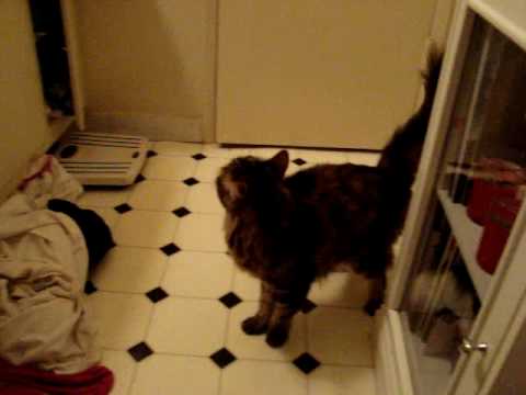 Mary Frances in the Bathroom