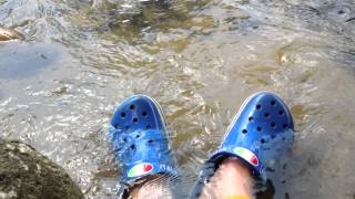 preview picture of video 'Cool Crocs2 in Stream'