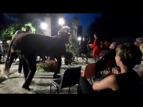 Espana Cani - Orchestra Filarmonica "Carlo Botta"