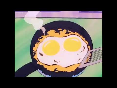 Typical Day At The Kame House