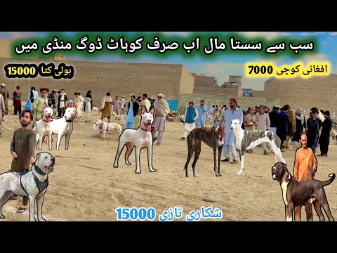 Biggest Dog Market in Asia Latest Update | Kohat Dog Mandi  |  Pk Animals Vlog