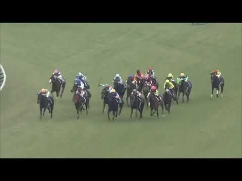 2021.12.12 Hanshin Juvenile Fillies (JPN) - Circle of Life