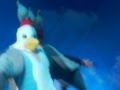 Cedric The Seagull