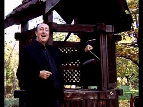 Rizo Hamidovic - Raslo mi je badem drvo