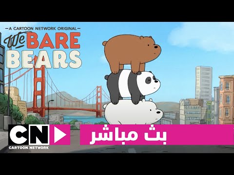 نجم الشهر | الدببة الثلاثة | كرتون نتورك