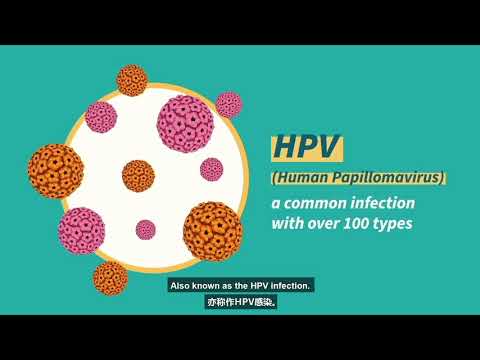 Emberi papillomavírus hpv vakcina cervarix)