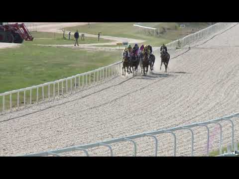 2022.04.17. 06. futam - GRÓF HUNYADY JÓZSEF EMLÉKVERSENY HENDIKEP (III.o.) I. rész (szintetikus)