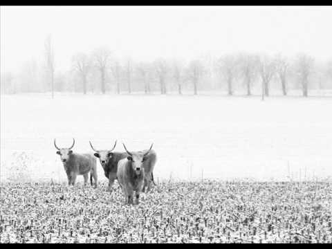Betyárok, ​pandúrok és egyéb régi hírességek 04