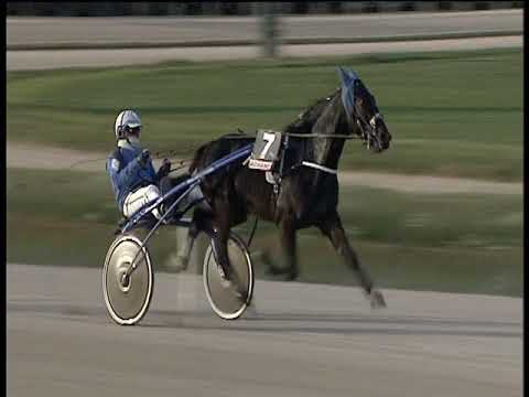 Trotto 30/11/2018 - 2ª corsa