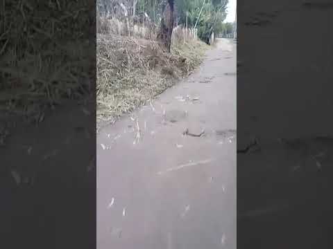 MORADOR MANDA O RECADO DA ESTRADA DO JUSTOS PARA O PREFEITO DE JUQUITIBA WILHIANS SOARES