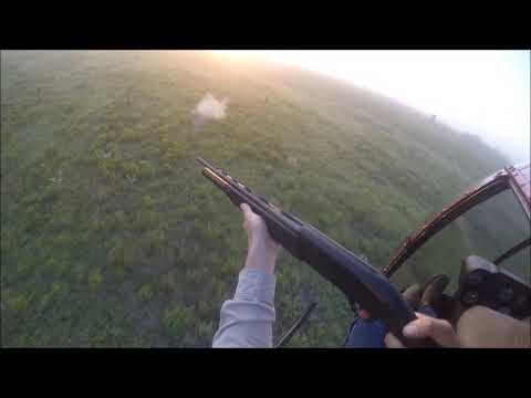 Kubecka Flying Service: Helicopter Hog Hunting August 22-23, 2018