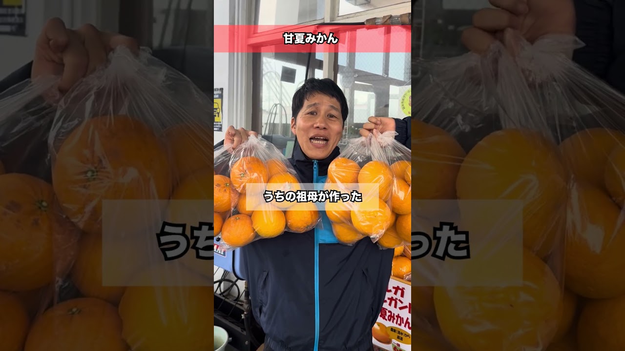 甘夏みかん（スルガエレガント）入荷しました！　　#ガソリンスタンド#お笑い#社長#静岡県#袋井市