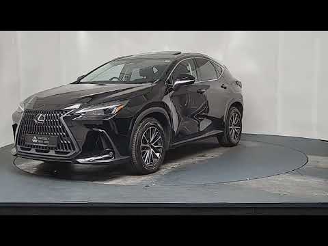 2024 Lexus NX
