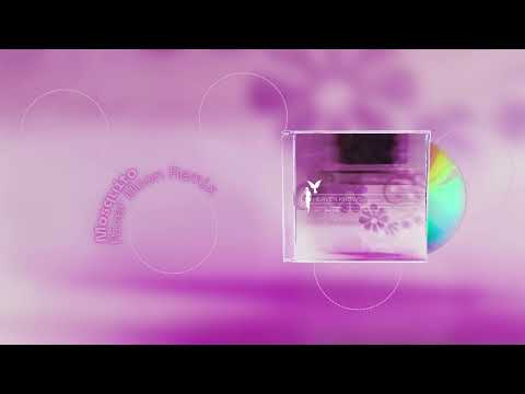 Video thumbnail for Mosquito (River Moon Remix)