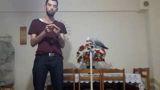 Papağan Eğitim Teknikleri Temel Teknikler Part 2