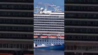 Can we talk about how beautiful this CRUISESHIP looks🤩 #cruiseship #cruise #travel #yt #ytshorts