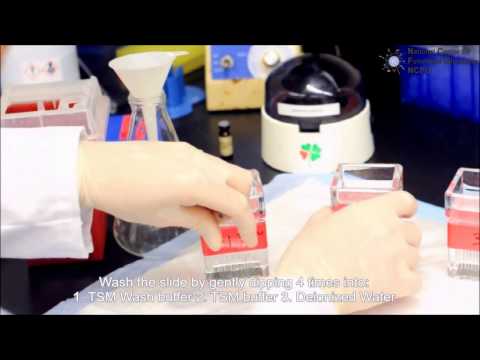 Glycan Binding Assay on CFG Glycan Microarray Slide with Biotin-Tagged Sample