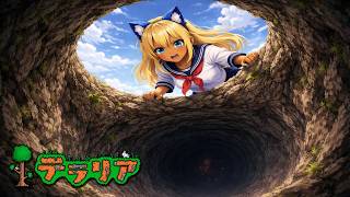 [配信第1084話] The answer in the abyss #3　視聴者参加型！！初見歓迎！！～テラリアスカイブロックバニラ～