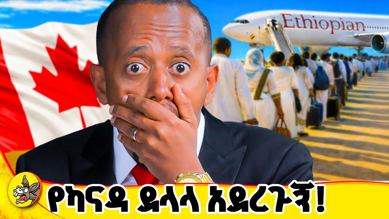 በስሜ ገንዘብ ለተበላችሁ... #comedianeshetu #donkeyyoutube #ethiopia #dinklijoch #tourandtravellng
