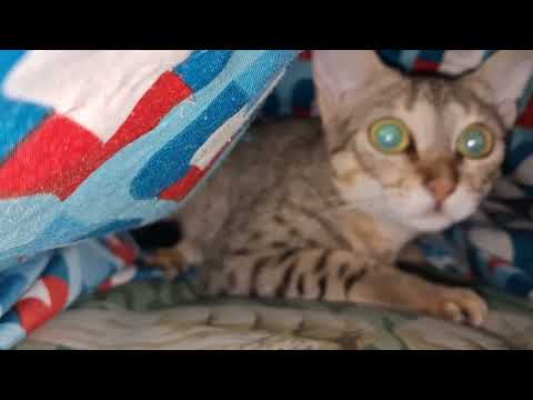 Nimmi vava woke up 🥱