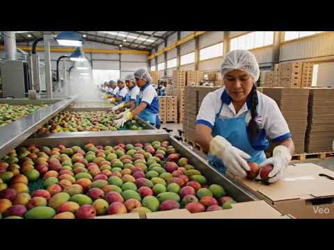 Test de Terreno - Video 1