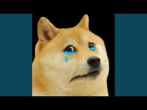 Video thumbnail for WHAT’S UPDOG???