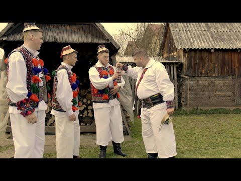 Tucu Ionut Dragu-mi pana-s fecior