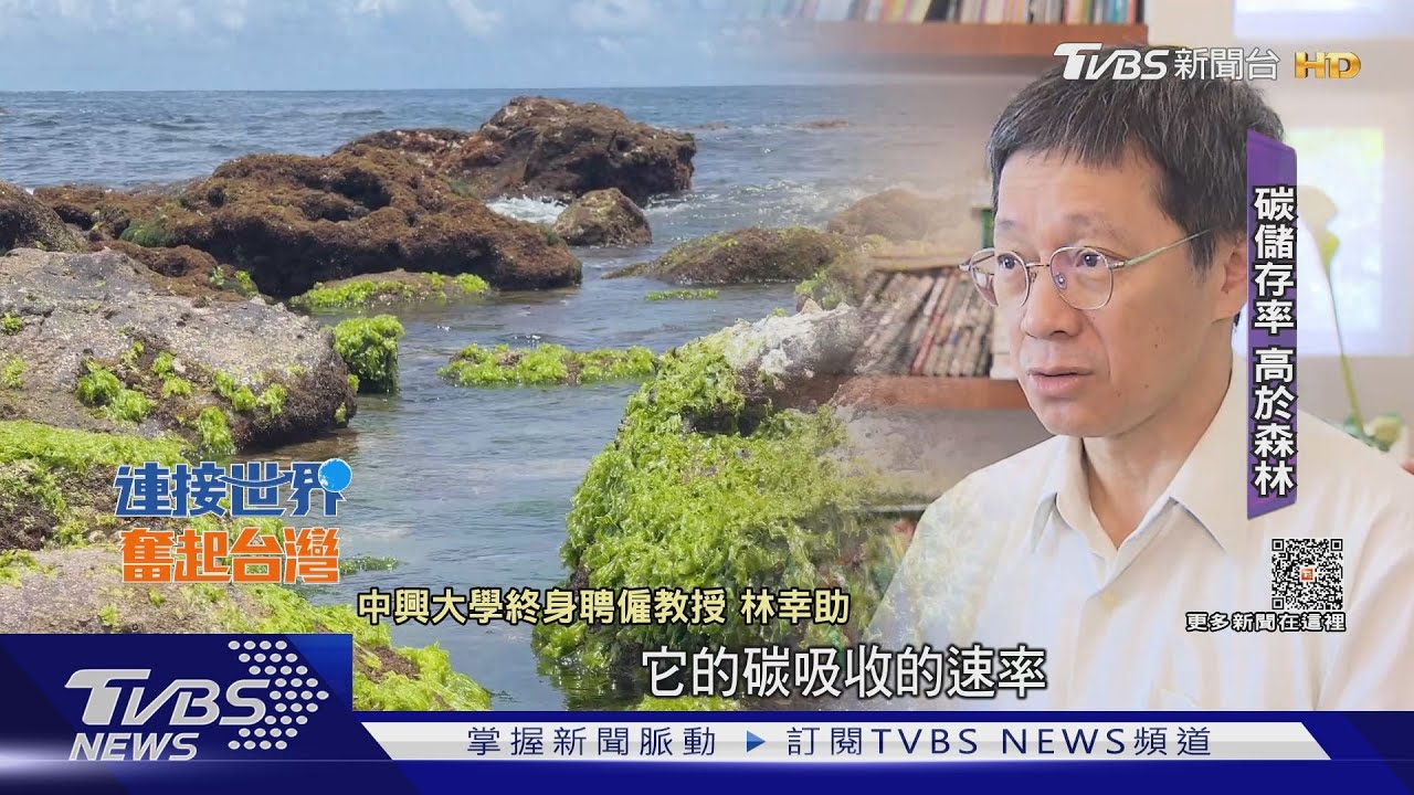 自然碳匯濱海藍碳生態系豐富 吸儲率高