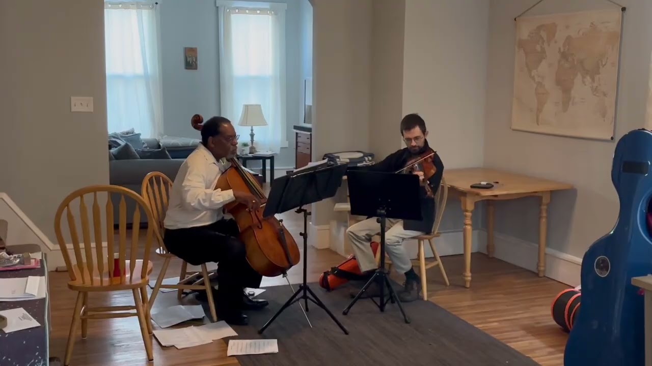 Promotional video thumbnail 1 for C. Stelle Music - Weddings & Events