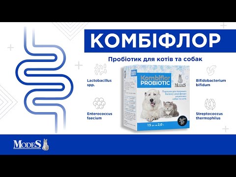 Комбифлор Probiotic MODES для собак и котов, пробиотик для поддержки и восстановления микрофлоры кишечника, 15 пакетиков по 2 г - фото 2 - id-p3151503018