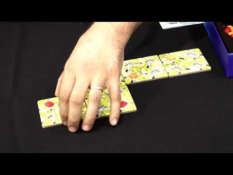 Spielvorstellung, Regeln, Gameplay und Interview (Essen 2018)