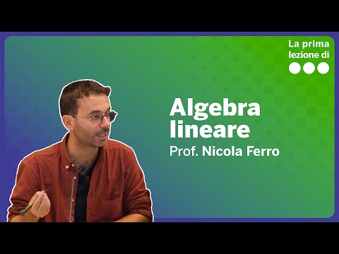 The First Lesson in Linear Algebra - Nicola Ferro