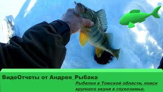 Отчеты о рыбалке в томской области 2020