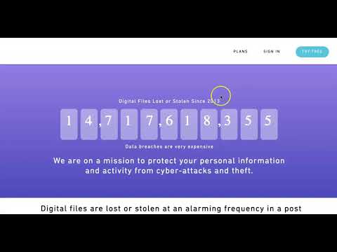 Sharing Files Secured with Blockchain